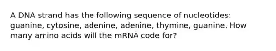 A DNA strand has the following sequence of nucleotides: guanine, cytosine, adenine, adenine, thymine, guanine. How many amino acids will the mRNA code for?