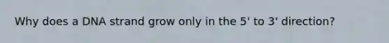 Why does a DNA strand grow only in the 5' to 3' direction?