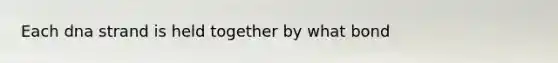 Each dna strand is held together by what bond
