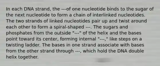 In each DNA strand, the ---of one nucleotide binds to the sugar of the next nucleotide to form a chain of interlinked nucleotides. The two strands of linked nucleotides pair up and twist around each other to form a spiral-shaped ---. The sugars and phosphates from the outside "---" of the helix and the bases point toward its center, forming internal "---," like steps on a twisting ladder. The bases in one strand associate with bases from the other strand through ---, which hold the DNA double helix together.