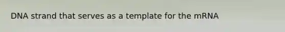 DNA strand that serves as a template for the mRNA