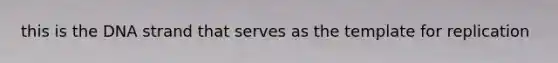 this is the DNA strand that serves as the template for replication