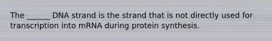 The ______ DNA strand is the strand that is not directly used for transcription into mRNA during protein synthesis.