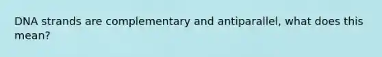 DNA strands are complementary and antiparallel, what does this mean?