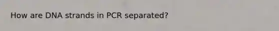 How are DNA strands in PCR separated?
