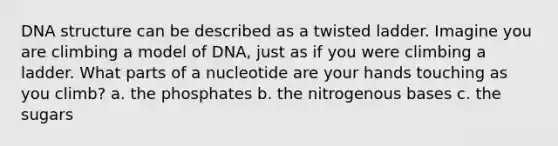 DNA structure can be described as a twisted ladder. Imagine you are climbing a model of DNA, just as if you were climbing a ladder. What parts of a nucleotide are your hands touching as you climb? a. the phosphates b. the nitrogenous bases c. the sugars