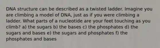 <a href='https://www.questionai.com/knowledge/kWBpxS6BsR-dna-structure' class='anchor-knowledge'>dna structure</a> can be described as a twisted ladder. Imagine you are climbing a model of DNA, just as if you were climbing a ladder. What parts of a nucleotide are your feet touching as you climb? a) the sugars b) the bases c) the phosphates d) the sugars and bases e) the sugars and phosphates f) the phosphates and bases