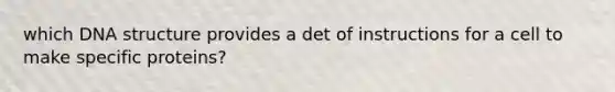 which DNA structure provides a det of instructions for a cell to make specific proteins?