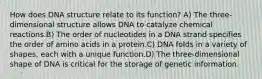 How does DNA structure relate to its function? A) The three-dimensional structure allows DNA to catalyze chemical reactions.B) The order of nucleotides in a DNA strand specifies the order of amino acids in a protein.C) DNA folds in a variety of shapes, each with a unique function.D) The three-dimensional shape of DNA is critical for the storage of genetic information.