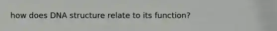 how does DNA structure relate to its function?