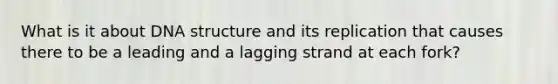 What is it about DNA structure and its replication that causes there to be a leading and a lagging strand at each fork?
