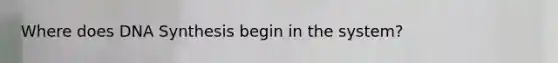 Where does DNA Synthesis begin in the system?