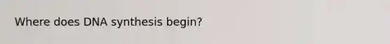 Where does DNA synthesis begin?