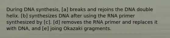 During DNA synthesis, [a] breaks and rejoins the DNA double helix. [b] synthesizes DNA after using the RNA primer synthesized by [c]. [d] removes the RNA primer and replaces it with DNA, and [e] joing Okazaki gragments.