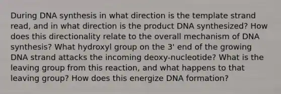 During DNA synthesis in what direction is the template strand read, and in what direction is the product DNA synthesized? How does this directionality relate to the overall mechanism of DNA synthesis? What hydroxyl group on the 3' end of the growing DNA strand attacks the incoming deoxy-nucleotide? What is the leaving group from this reaction, and what happens to that leaving group? How does this energize DNA formation?