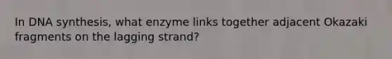 In DNA synthesis, what enzyme links together adjacent Okazaki fragments on the lagging strand?