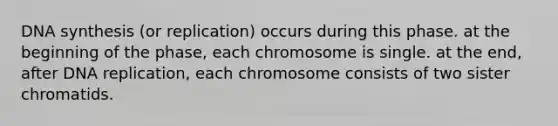 DNA synthesis (or replication) occurs during this phase. at the beginning of the phase, each chromosome is single. at the end, after DNA replication, each chromosome consists of two sister chromatids.