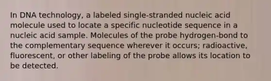 In DNA technology, a labeled single-stranded nucleic acid molecule used to locate a specific nucleotide sequence in a nucleic acid sample. Molecules of the probe hydrogen-bond to the complementary sequence wherever it occurs; radioactive, fluorescent, or other labeling of the probe allows its location to be detected.