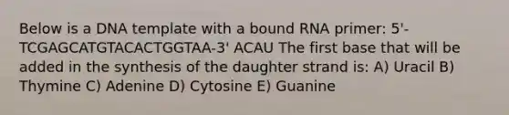 Below is a DNA template with a bound RNA primer: 5'-TCGAGCATGTACACTGGTAA-3' ACAU The first base that will be added in the synthesis of the daughter strand is: A) Uracil B) Thymine C) Adenine D) Cytosine E) Guanine