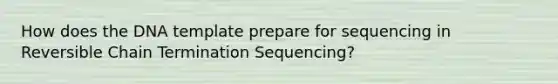 How does the DNA template prepare for sequencing in Reversible Chain Termination Sequencing?