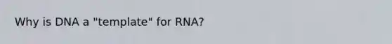 Why is DNA a "template" for RNA?