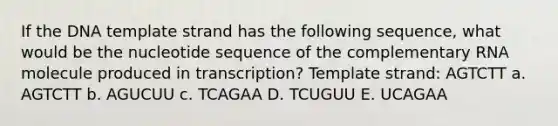 If the DNA template strand has the following sequence, what would be the nucleotide sequence of the complementary RNA molecule produced in transcription? Template strand: AGTCTT a. AGTCTT b. AGUCUU c. TCAGAA D. TCUGUU E. UCAGAA