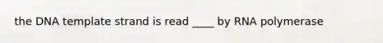 the DNA template strand is read ____ by RNA polymerase