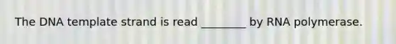 The DNA template strand is read ________ by RNA polymerase.