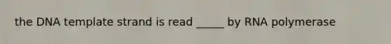 the DNA template strand is read _____ by RNA polymerase