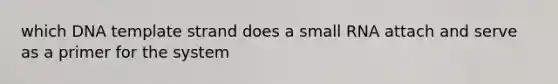 which DNA template strand does a small RNA attach and serve as a primer for the system