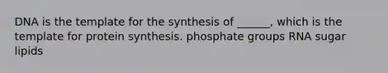 DNA is the template for the synthesis of ______, which is the template for protein synthesis. phosphate groups RNA sugar lipids