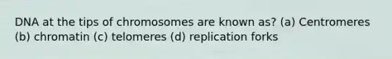 DNA at the tips of chromosomes are known as? (a) Centromeres (b) chromatin (c) telomeres (d) replication forks