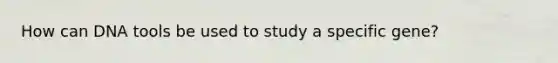 How can DNA tools be used to study a specific gene?