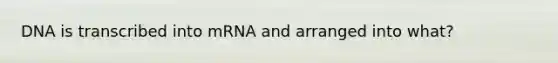 DNA is transcribed into mRNA and arranged into what?