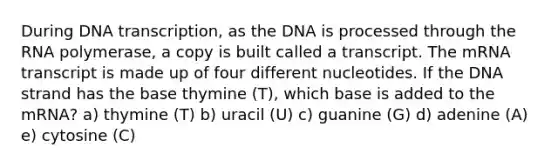 During DNA transcription, as the DNA is processed through the RNA polymerase, a copy is built called a transcript. The mRNA transcript is made up of four different nucleotides. If the DNA strand has the base thymine (T), which base is added to the mRNA? a) thymine (T) b) uracil (U) c) guanine (G) d) adenine (A) e) cytosine (C)