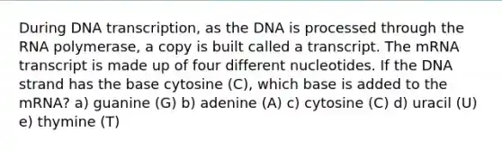 During DNA transcription, as the DNA is processed through the RNA polymerase, a copy is built called a transcript. The mRNA transcript is made up of four different nucleotides. If the DNA strand has the base cytosine (C), which base is added to the mRNA? a) guanine (G) b) adenine (A) c) cytosine (C) d) uracil (U) e) thymine (T)