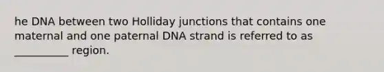 he DNA between two Holliday junctions that contains one maternal and one paternal DNA strand is referred to as __________ region.