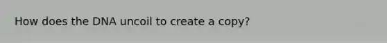 How does the DNA uncoil to create a copy?