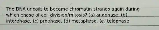 The DNA uncoils to become chromatin strands again during which phase of cell division/mitosis? (a) anaphase, (b) interphase, (c) prophase, (d) metaphase, (e) telophase