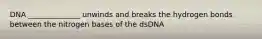 DNA ______________ unwinds and breaks the hydrogen bonds between the nitrogen bases of the dsDNA