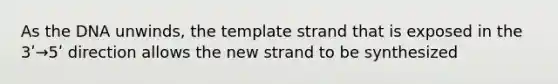 As the DNA unwinds, the template strand that is exposed in the 3ʹ→5ʹ direction allows the new strand to be synthesized