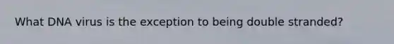 What DNA virus is the exception to being double stranded?