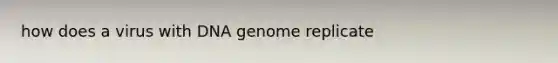 how does a virus with DNA genome replicate