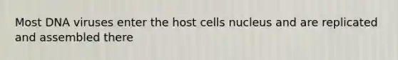 Most DNA viruses enter the host cells nucleus and are replicated and assembled there