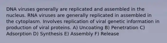 DNA viruses generally are replicated and assembled in the nucleus. RNA viruses are generally replicated in assembled in the cytoplasm. Involves replication of viral genetic information in production of viral proteins. A) Uncoating B) Penetration C) Adsorption D) Synthesis E) Assembly F) Release