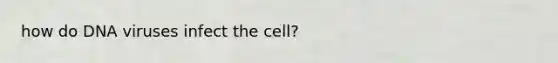 how do DNA viruses infect the cell?