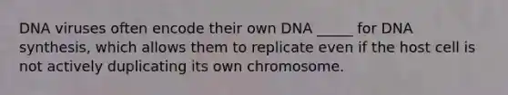 DNA viruses often encode their own DNA _____ for DNA synthesis, which allows them to replicate even if the host cell is not actively duplicating its own chromosome.