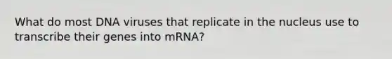 What do most DNA viruses that replicate in the nucleus use to transcribe their genes into mRNA?