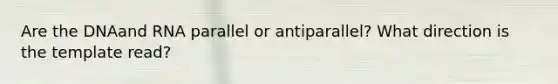 Are the DNAand RNA parallel or antiparallel? What direction is the template read?