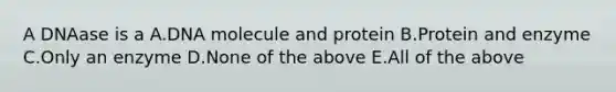 A DNAase is a A.DNA molecule and protein B.Protein and enzyme C.Only an enzyme D.None of the above E.All of the above